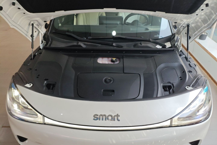 smart精灵#1 2024款 灵动豪华版局部细节24