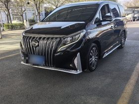 广汽传祺 传祺M8 2023款 领秀系列 390T 尊贵版