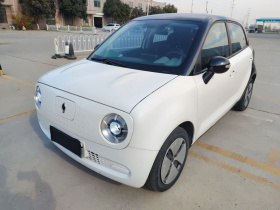 欧拉黑猫 2021款 301km 基础型