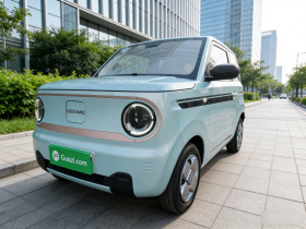吉利银河 2024款 熊猫mini 200km 耐力熊