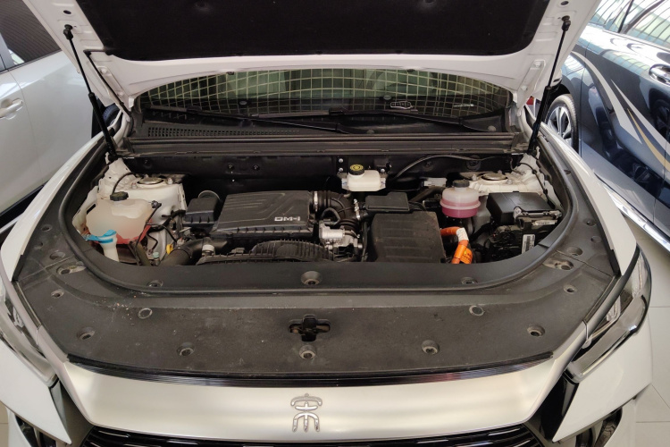 比亚迪 宋Pro新能源 2023款 冠军版 DM-i 110KM卓越型机舱底盘24