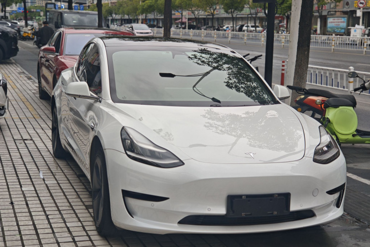 特斯拉 Model 3 2019款 标准续航后驱升级版车身外观6003