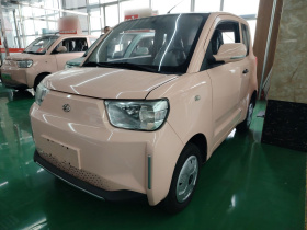 安徽猎豹 猎豹CS01 EV 2024款 实用型