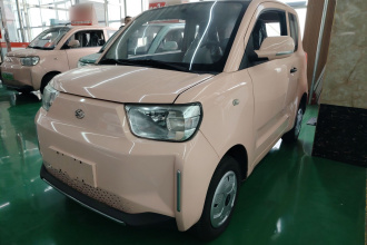 安徽猎豹 猎豹CS01 EV 2024款 实用型