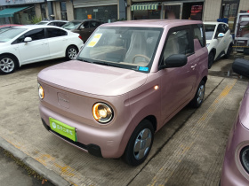 吉利银河 2024款 熊猫mini 200km 耐力熊