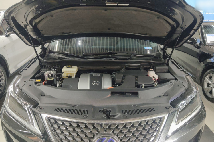 雷克萨斯RX 2020款 改款 450h 四驱典雅版机舱底盘24