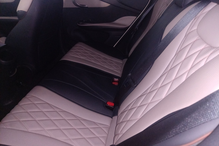 比亚迪 海豚 2023款 420km 自由版中控内饰7004