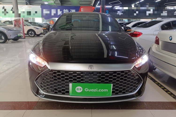 比亚迪 秦PLUS 2024款 荣耀版 DM-i 55KM领先型车身外观2