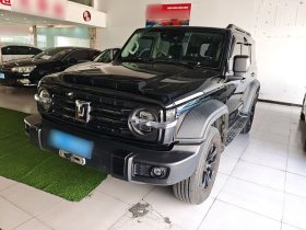 坦克300 2021款 越野版 2.0T 征服者