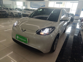 五菱汽车 五菱缤果 2025款 203km 轻享款