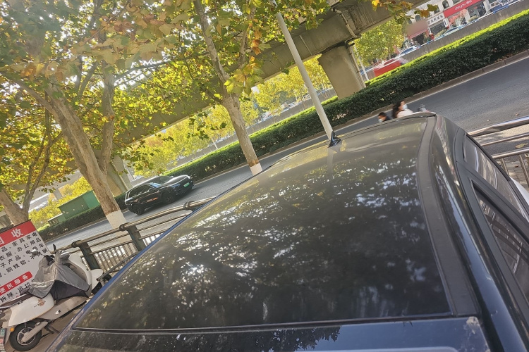 思皓 2022款 花仙子款 四叶草局部细节57