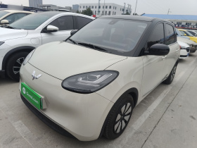 五菱汽车 五菱缤果 2023款 203km 舒享款