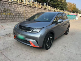 比亚迪 海豚 2021款 405km 自由版