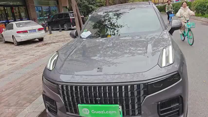 领克09 EM-P 2023款 2.0TD EM-P 远航版PM 六座检测视频1