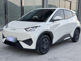 比亚迪 海鸥 2025款 305km 活力版