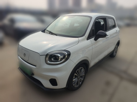 零跑汽车 零跑T03 2020款 400轻享版