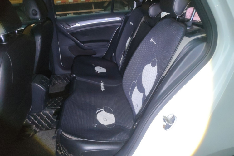 大众 高尔夫 2017款 280TSI 自动R-Line百万辆纪念版中控内饰21