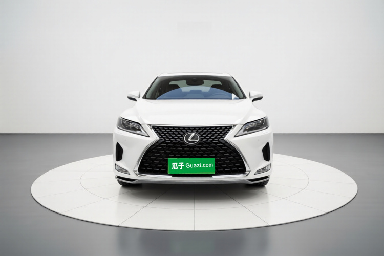 雷克萨斯RX 2020款 300 两驱精英版 国VI车身外观2