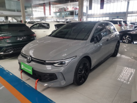 大众 高尔夫 2026款 300TSI Pro