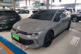 大众 高尔夫 2026款 300TSI Pro