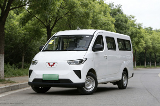 五菱汽车 五菱扬光 2024款 300KM 舒适型客车版 75kW
