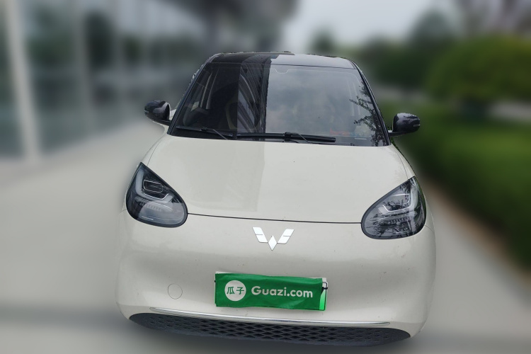 五菱汽车 五菱缤果 2024款 333km 灵犀互联款车身外观6001