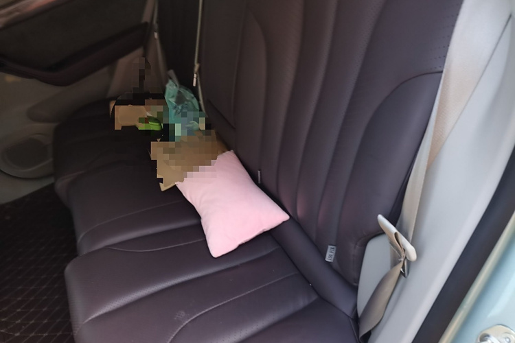 零跑汽车 零跑C11 2021款 行政版610中控内饰7004