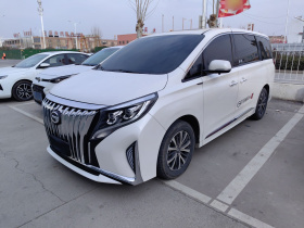 广汽传祺 传祺M8 2021款 改款 领秀系列 390T 豪华版