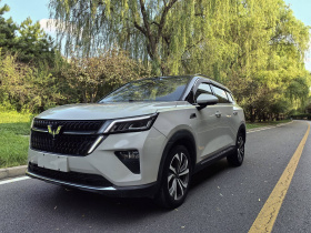 五菱汽车 五菱星辰 2021款 1.5T CVT星曜版