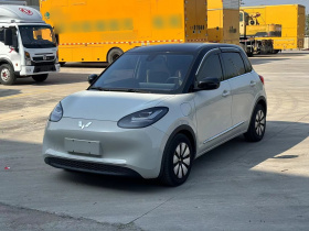 五菱汽车 五菱缤果 2023款 333km 灵犀互联款