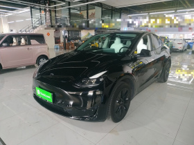 特斯拉 Model Y 2022款 后轮驱动版
