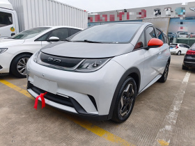 比亚迪 海豚 2021款 405km 时尚版