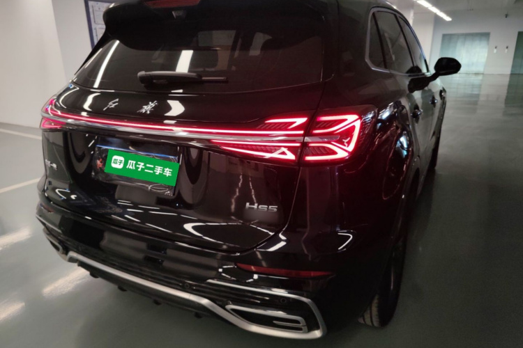 红旗HS5 2023款 2.0T 旗享Pro版车身外观7