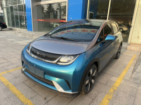 比亚迪 海豚 2021款 401km 骑士版