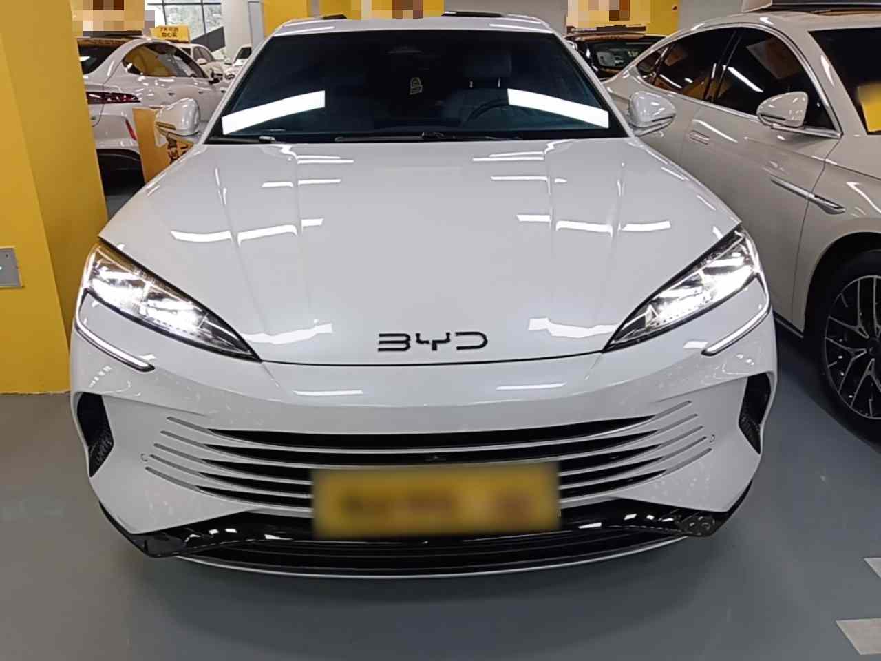 比亚迪 海豹 2024款 荣耀版 DM-i 1.5L 121km 豪华型(1)