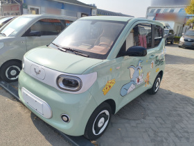 五菱汽车 宏光MINIEV 2024款 第三代 215km 青春版