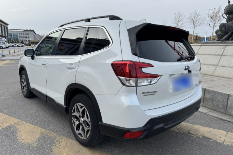 斯巴鲁 森林人 2019款 2.0i 豪华版EyeSight车身外观6001