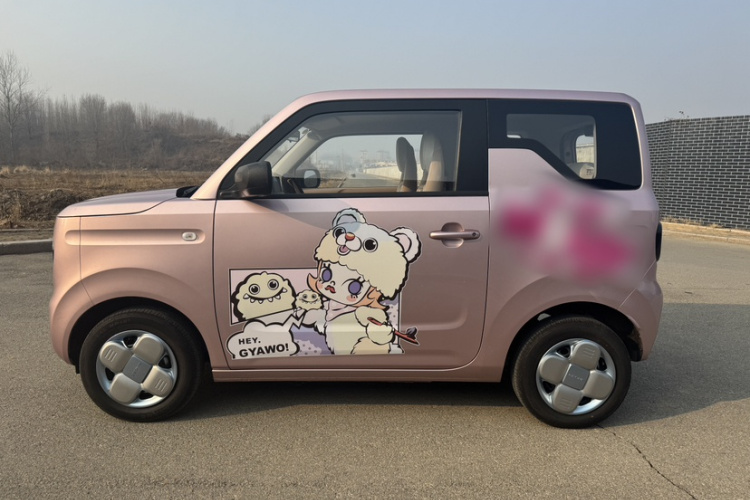 吉利银河 2024款 熊猫mini 200km 耐力熊车身外观6003