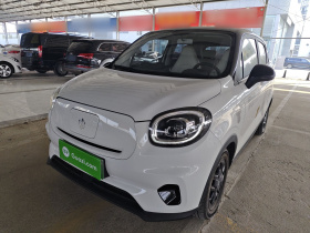 零跑汽车 零跑T03 2023款 310轻享版