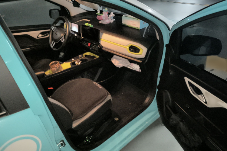 思皓 花仙子 2021款 302km 豪华型 31.4kWh局部细节9005