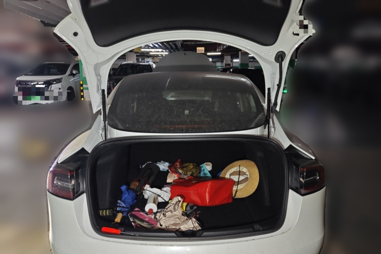 特斯拉 Model 3 2020款 改款 长续航后轮驱动版局部细节23