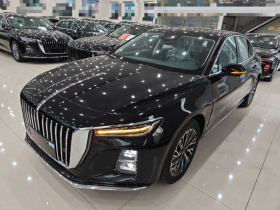 红旗H5 2024款 2.0T 自动智联旗畅版