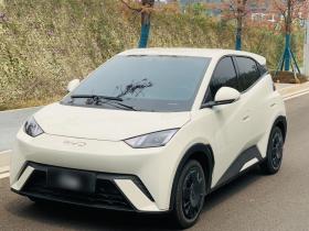 比亚迪 海鸥 2025款 305km 活力版