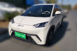 比亚迪 海鸥 2025款 305km 活力版