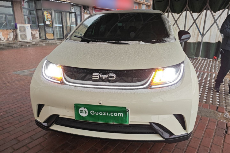 比亚迪 海豚 2025款 420km 自由版车身外观2