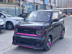 吉利银河 2025款 210km 熊猫卡丁