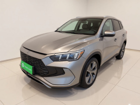 比亚迪 宋Pro新能源 2023款 冠军版 DM-i 110KM卓越型