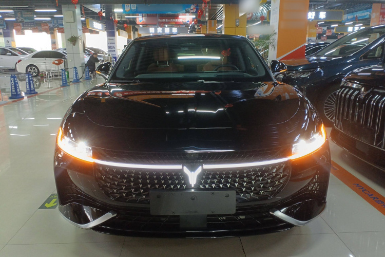 岚图汽车 岚图追光 2024款 PHEV 四驱超长续航旗舰版车身外观2