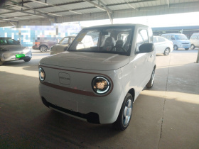 吉利银河 2024款 熊猫mini 200km 耐力熊