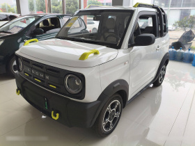 吉利银河 2025款 210km 熊猫骑士